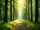 was-ist-ein-holzbaum-und-warum-ist-er-so-nachhaltig